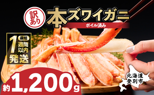 【北海道登別市】【最短1週間以内出荷】訳あり 冷凍 ボイル ずわいがに 足 1200g ズワイガニ ハーフポーション | ギフト 2025