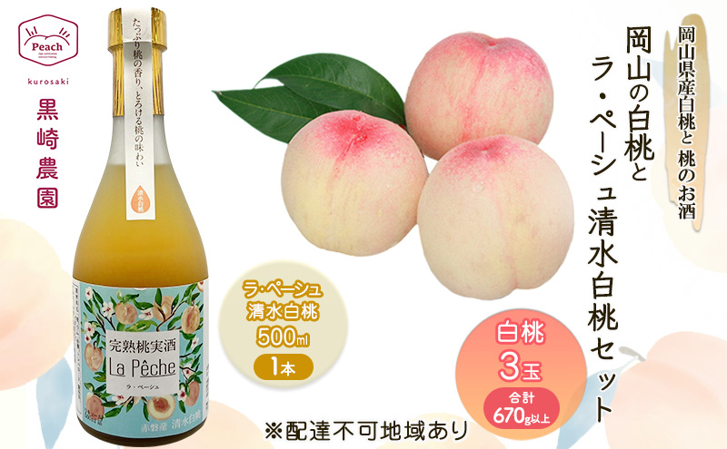 yRԔ֎sz  Zbg 2026N st R̔ 3 v670gȏ ̂Ey[V 500ml 1{Zbg ʕ L[