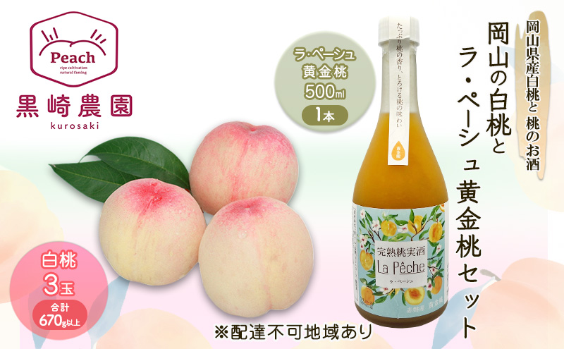 yRԔ֎sz  Zbg 2026N st R̔ 3 v670gȏ ̂Ey[V 500ml 1{Zbg ʕ L[