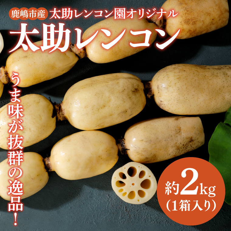 y錧szys\zyՂ̃Rz錧sY R 2kg y񂱂  @  2L 10000~ȓ 1~ȓziKBU-1j