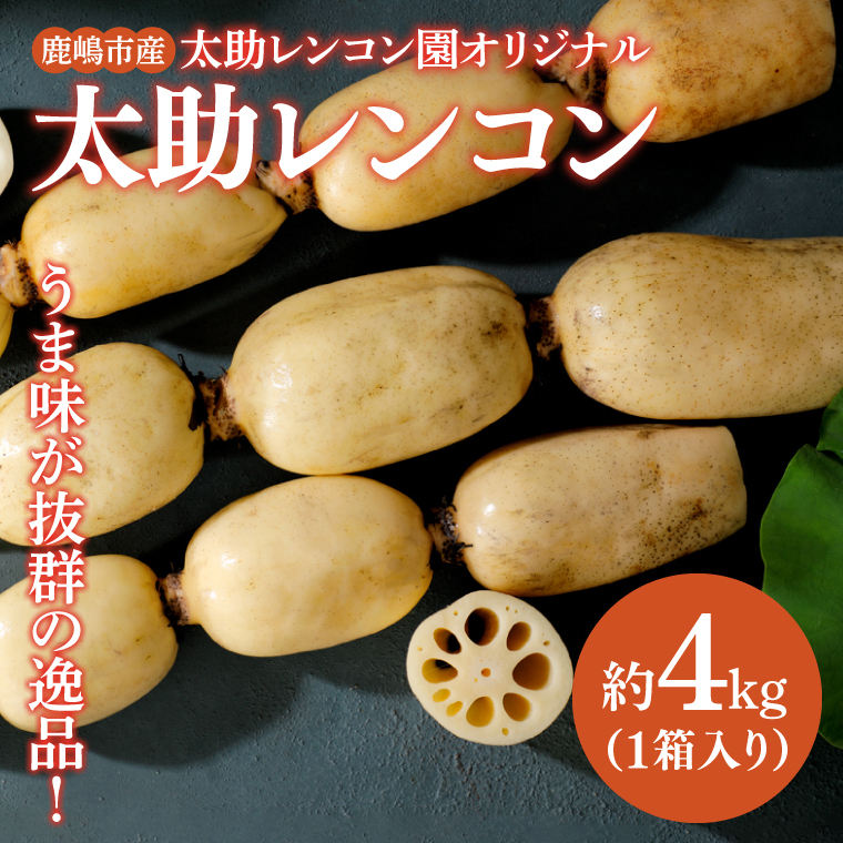 【茨城県鹿嶋市】【先行予約】【奇跡のレンコン】鹿嶋市産レンコン 約4kg 【れんこん 根菜 蓮根 れん根 4キロ 20000円以内】(KBU-3)