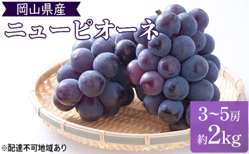 yRsz2026N t Ԃǂ ̍ sI[l 2kgi3`5[jϔ R s uhE  ʕ t[c