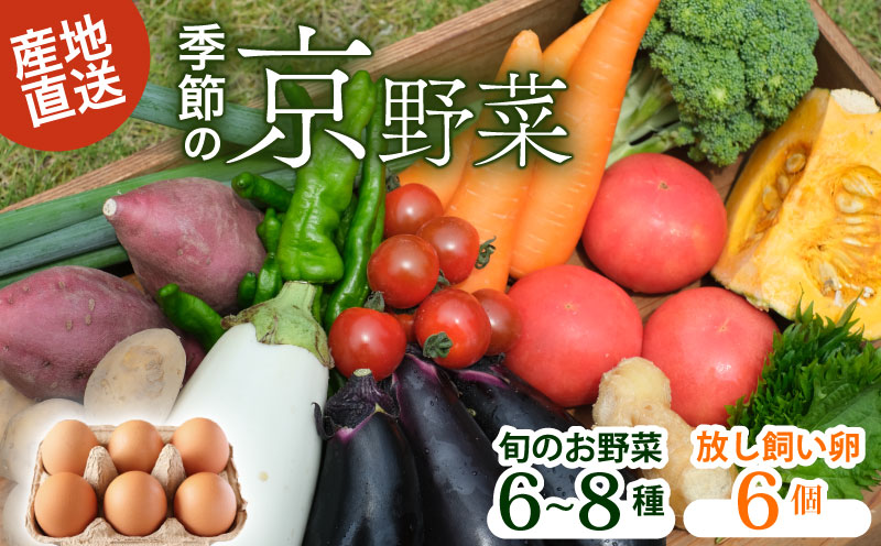 【京都府南丹市】野菜セット ネラの卵6個入り