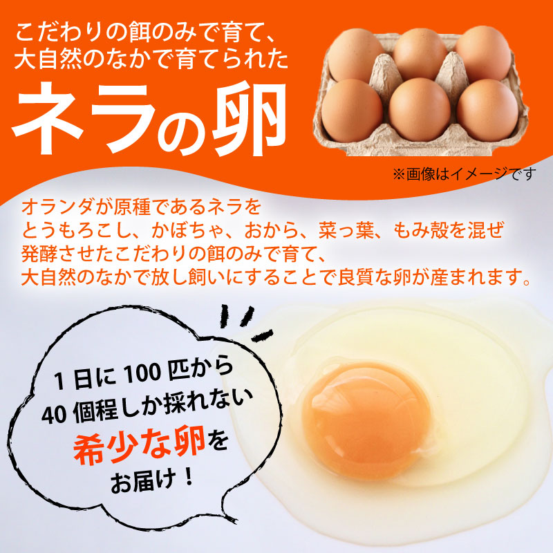 野菜セット ネラの卵6個入り