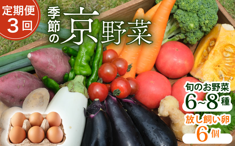 【定期便3回】野菜セット ネラの卵6個入り