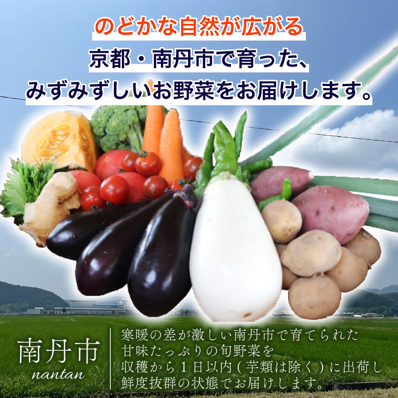 【定期便6回】野菜セット ネラの卵6個入り