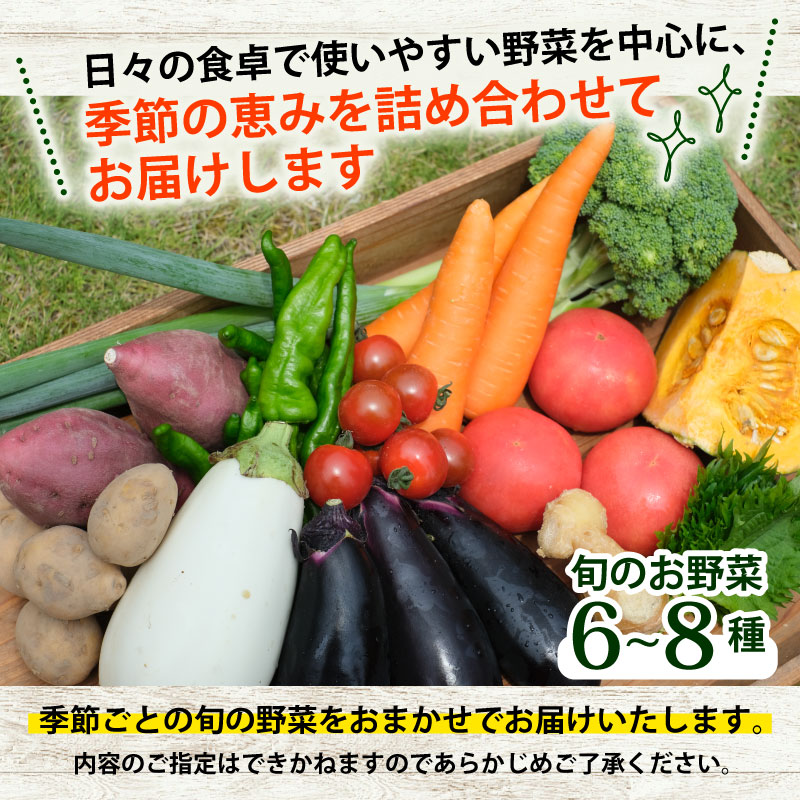 【定期便6回】野菜セット ネラの卵6個入り