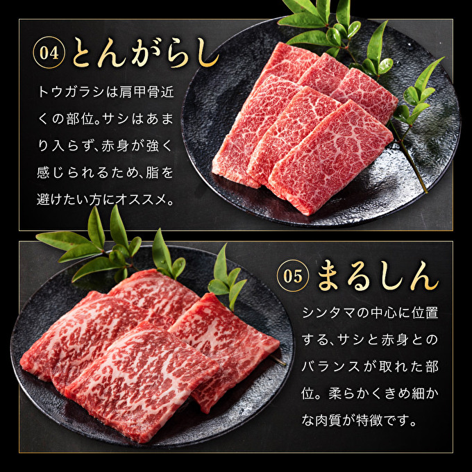 神戸牛 希少部位 焼肉セット 5種 計800g ミスジ ヒウチ 三角バラ トウガラシ マルシン