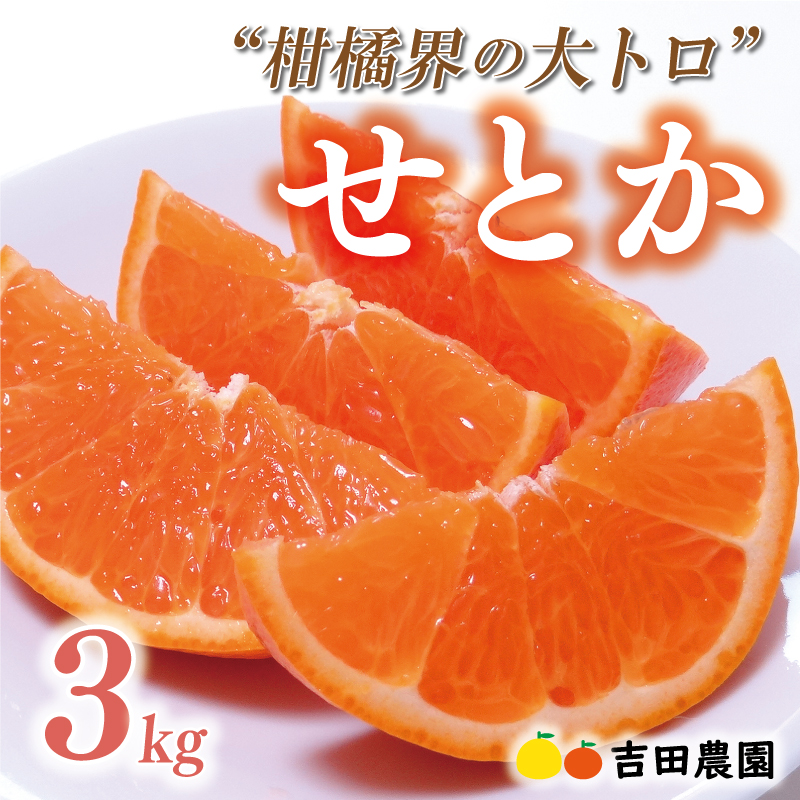 数量限定 先行予約 訳あり せとか 3kg みかん 家庭用 サイズミックス 14000円 高級 人気 ブランド プレミアム 柑橘 果物 フルーツ 期間限定 産地直送 国産 農家直送 わけあり 特産品 お取り寄せ mikan 蜜柑 ミカン オレンジ スマイルカット ビタミン 甘い おいしい 大トロ 不揃い 吉田農園 愛南町 愛媛県