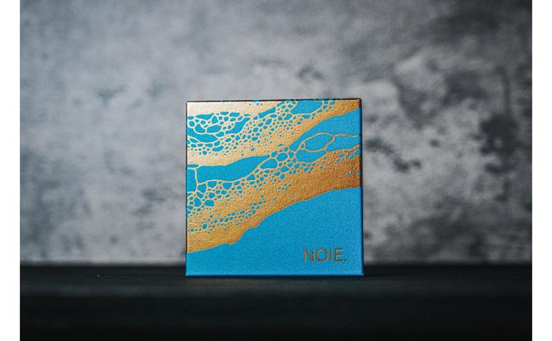 【2箱セット】　能登塩のリッチチョコクッキー 能美市 クッキー 菓子 焼き菓子 お菓子 おやつ スイーツ デザート お取り寄せ ギフト