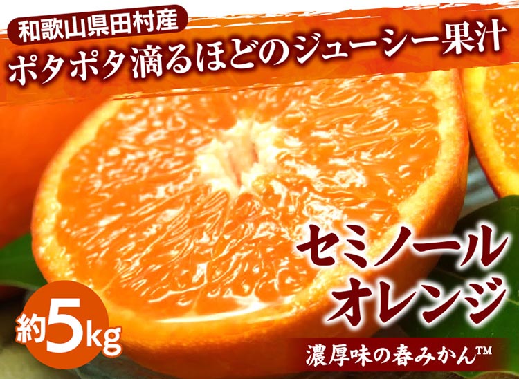 セミノールオレンジ[約5kg]湯浅町田村産春みかん【果実サイズおまかせ】｜和歌山県産 柑橘 フルーツ 紀伊国屋文左衛門本舗
