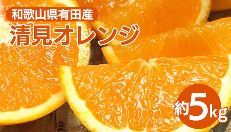 清見オレンジ[約5kg]和歌山県有田産 春みかん【果実サイズおまかせ】｜和歌山県産 柑橘 フルーツ 紀伊国屋文左衛門本舗