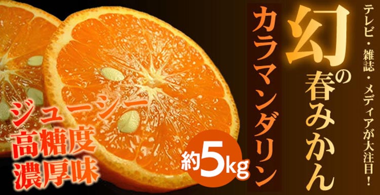 カラマンダリン[約5kg] 和歌山県有田産 春みかん 【果実サイズおまかせ】｜和歌山県産 柑橘 フルーツ 紀伊国屋文左衛門本舗