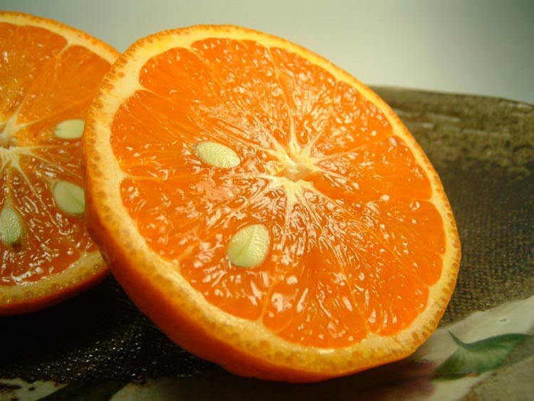 カラマンダリン[約5kg] 和歌山県有田産 春みかん 【果実サイズおまかせ】｜和歌山県産 柑橘 フルーツ 紀伊国屋文左衛門本舗