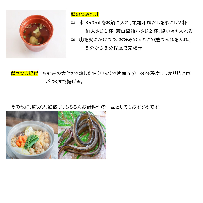 SD1001_鱧すり身 200g × 2個 高級魚 鱧 漁港直送 その日に加工 真空冷凍 鮮度 キープ すり身 鍋 ハンバーグ つみれ汁 高級料亭 気分 味わえる 自宅 簡単 出来立て さつま揚げ 冷凍 お取り寄せ 和歌山県 湯浅町 送料無料