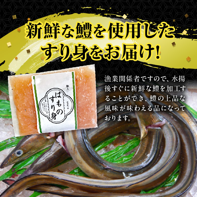 SD1002_鱧すり身 200g × 4個 高級魚 鱧 漁港直送 その日に加工 真空冷凍 鮮度 キープ すり身 鍋 ハンバーグ つみれ汁 高級料亭 気分 味わえる 自宅 簡単 出来立て さつま揚げ 冷凍 お取り寄せ 和歌山県 湯浅町 送料無料