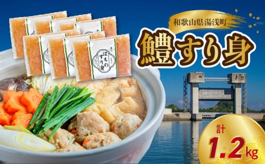 SD1003_鱧すり身 200g × 6個 高級魚 鱧 漁港直送 その日に加工 真空冷凍 鮮度 キープ すり身 鍋 ハンバーグ つみれ汁 高級料亭 気分 味わえる 自宅 簡単 出来立て さつま揚げ 冷凍 お取り寄せ 和歌山県 湯浅町 送料無料