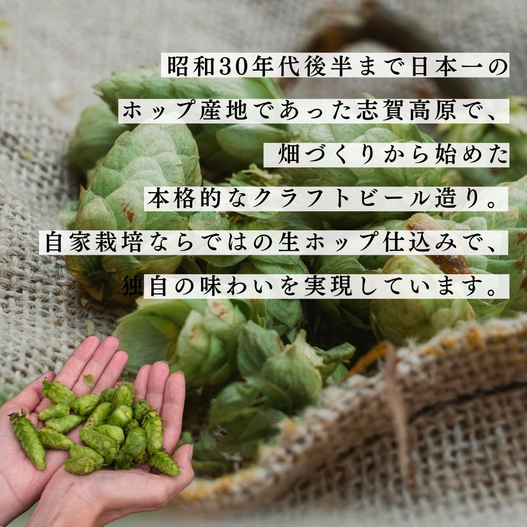 木樽熟成山伏 blonde・red 各1本セット【 クラフトビール 木樽熟成 山伏 飲み比べセット 玉村本店 ビール 詰め合わせ セット 地ビール 飲み比べ ギフト 酒 お酒 アルコール 飲料 志賀高原 長野県 長野 】 