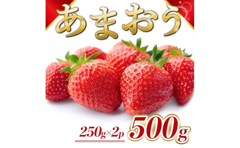 y品z Y ܂ 500gi2pbNj s\ \F2026N2菇  C`S ʕ zs: