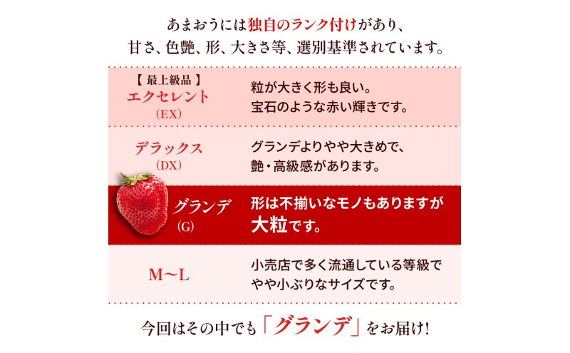 苺 福岡県産 あまおう 500g（2パック） 先行予約 発送予定：2026年2月より順次発送 いちご イチゴ 果物 ※配送不可:離島