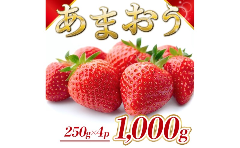 【福岡県大刀洗町】苺 福岡県産 あまおう 1000g(4パック) 先行予約 発送予定:2026年2月より順次発送 いちご イチゴ 果物 ※配送不可:離島