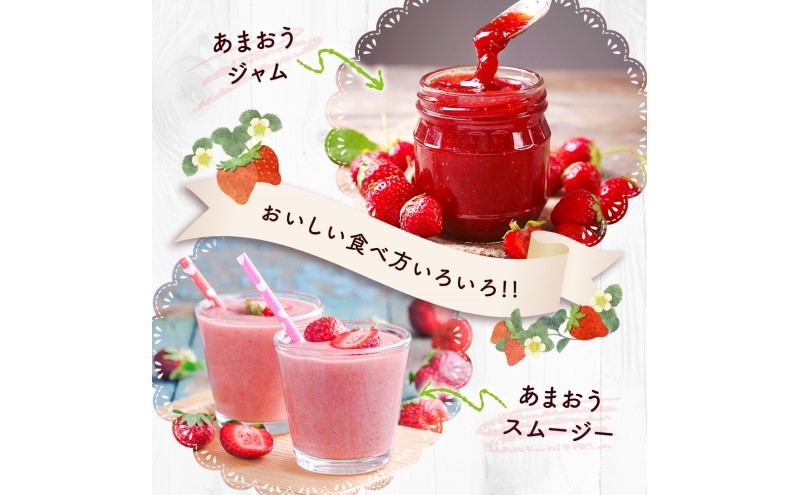 苺 福岡県産 あまおう 1000g（4パック） 先行予約 発送予定：2026年2月より順次発送 いちご イチゴ 果物 ※配送不可:離島