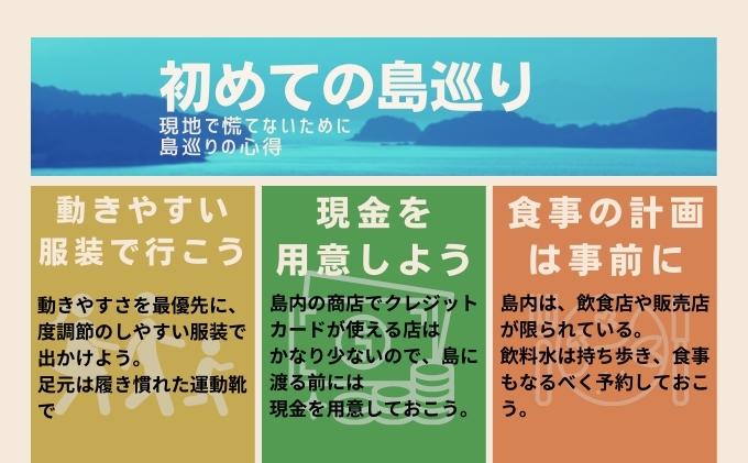 小豆島 】瀬戸内国際芸術祭2025作品鑑賞パスポート1枚（オール