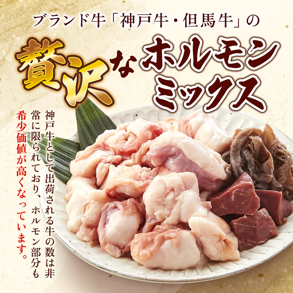 【神戸牛・但馬牛】ホルモンミックス 500g 小腸 大腸 ミノ ハチノス センマイ アカセン 年内配送 within2025