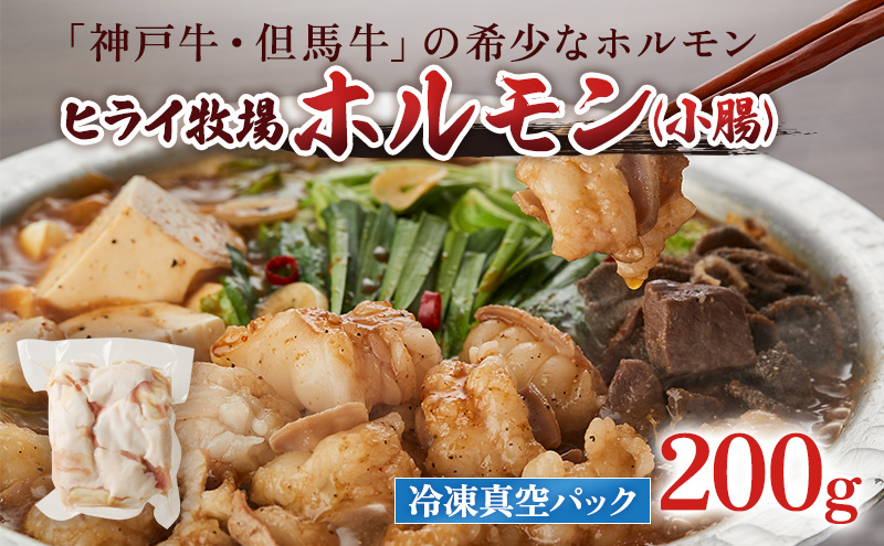 期間限定寄附額 神戸牛・但馬牛 希少 ホルモン 小腸 200g 国産牛 冷凍 もつ鍋 牛肉 お肉 年内配送 within2025