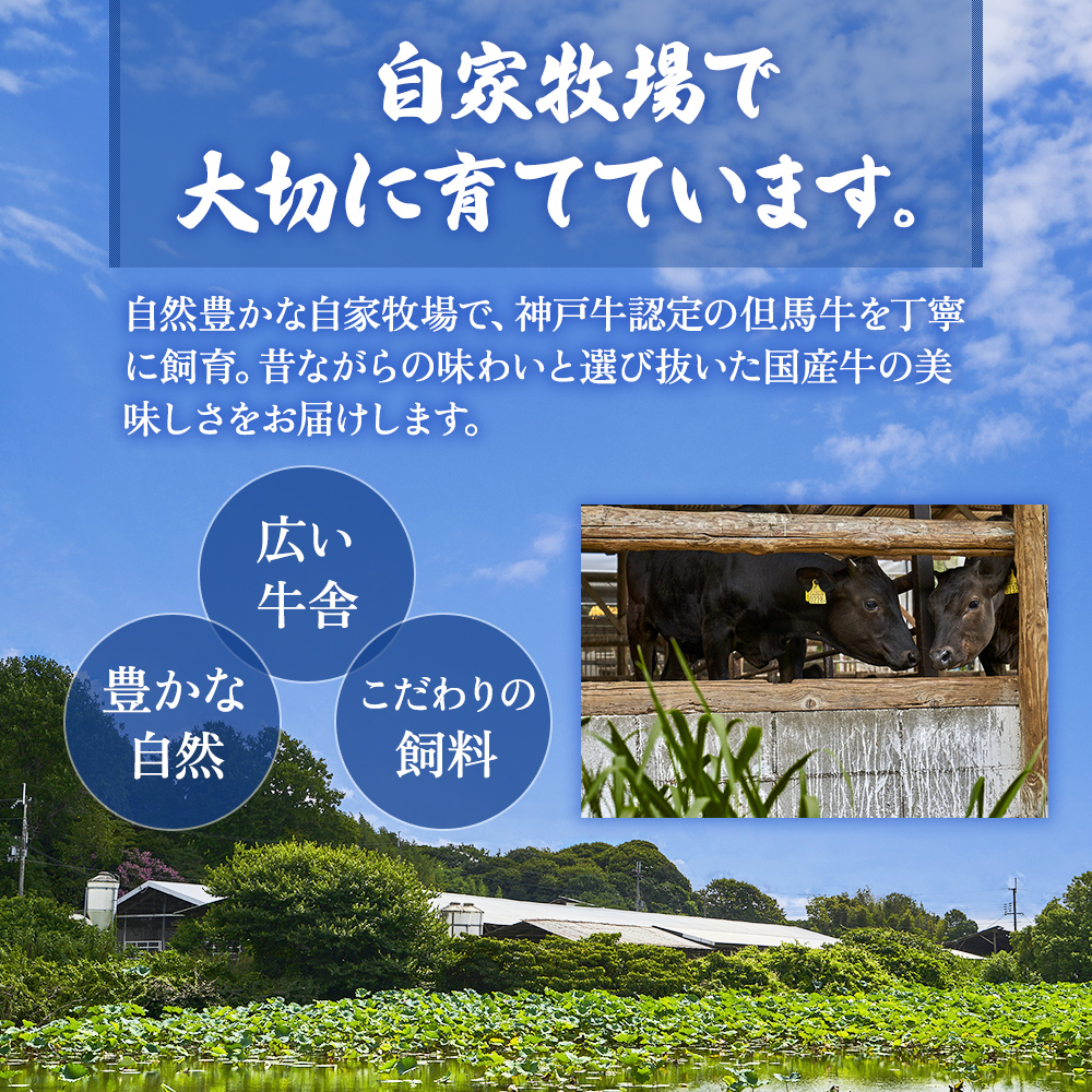 期間限定寄附額 神戸牛・但馬牛 希少 ホルモン 小腸 200g 国産牛 冷凍 もつ鍋 牛肉 お肉 年内配送 within2025