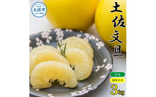 農家直送 土佐市産土佐文旦 小玉3kg ３キロ Mサイズ 7～10玉入り 家庭用 訳あり
