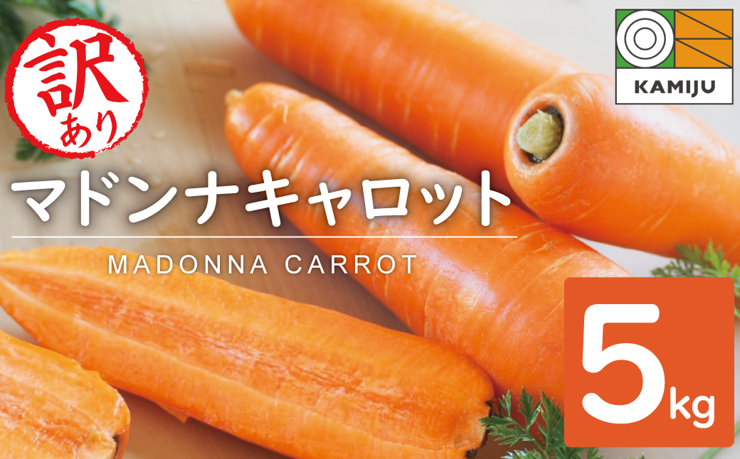 愛知県碧南市のふるさと納税 ＜フジテレビ『どっちのふるさと？』で紹介されました！＞ 訳あり 冬期限定 にんじん マドンナキャロット 容量 5kg 先行予約 国産 甘い フルーツのような味わい お子様にもおすすめ 栄養 神重農産 野菜 愛知県 碧南市 送料無料 H105-145