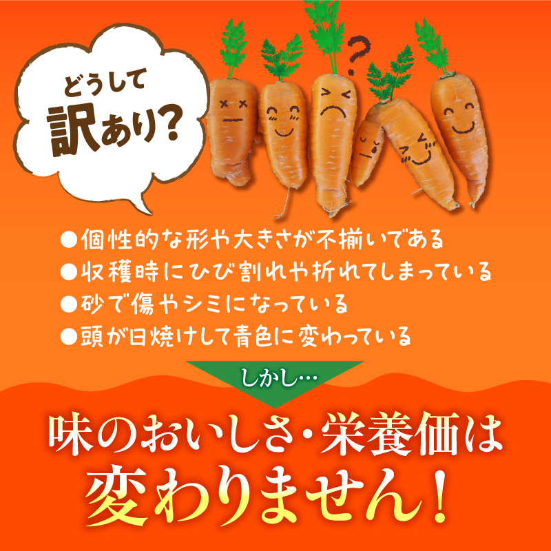 愛知県碧南市のふるさと納税 ＜フジテレビ『どっちのふるさと？』で紹介されました！＞ 訳あり 冬期限定 にんじん マドンナキャロット 容量 5kg 先行予約 国産 甘い フルーツのような味わい お子様にもおすすめ 栄養 神重農産 野菜 愛知県 碧南市 送料無料 H105-145