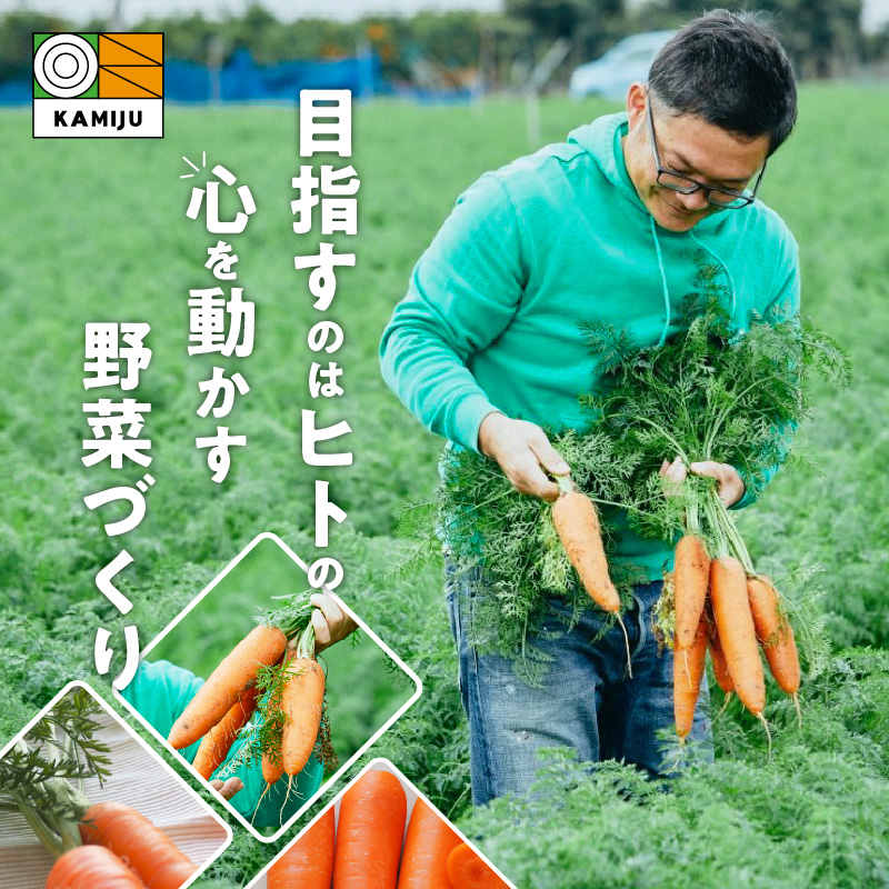 愛知県碧南市のふるさと納税 ＜フジテレビ『どっちのふるさと？』で紹介されました！＞ 訳あり 冬期限定 にんじん マドンナキャロット 容量 5kg 先行予約 国産 甘い フルーツのような味わい お子様にもおすすめ 栄養 神重農産 野菜 愛知県 碧南市 送料無料 H105-145