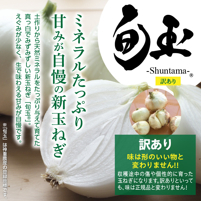 愛知県碧南市のふるさと納税 (2026年発送)【数量限定】訳あり 新玉ねぎ 生がおいしい 神重農産のブランド玉ねぎ「旬玉」2.5kg ブランド玉ねぎ 玉ねぎ 国産 愛知県産 野菜 やさい 農家直送 畑直送 旬 期間限定 たまねぎ 先行予約 旬 特産 高評価 高リピート 人気 H105-152