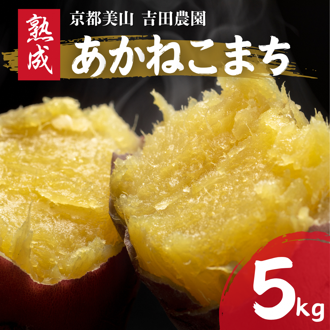 ys{OszYn ܂ 5kg n ˂܂ sOgY y\񏤕i25N12菇z