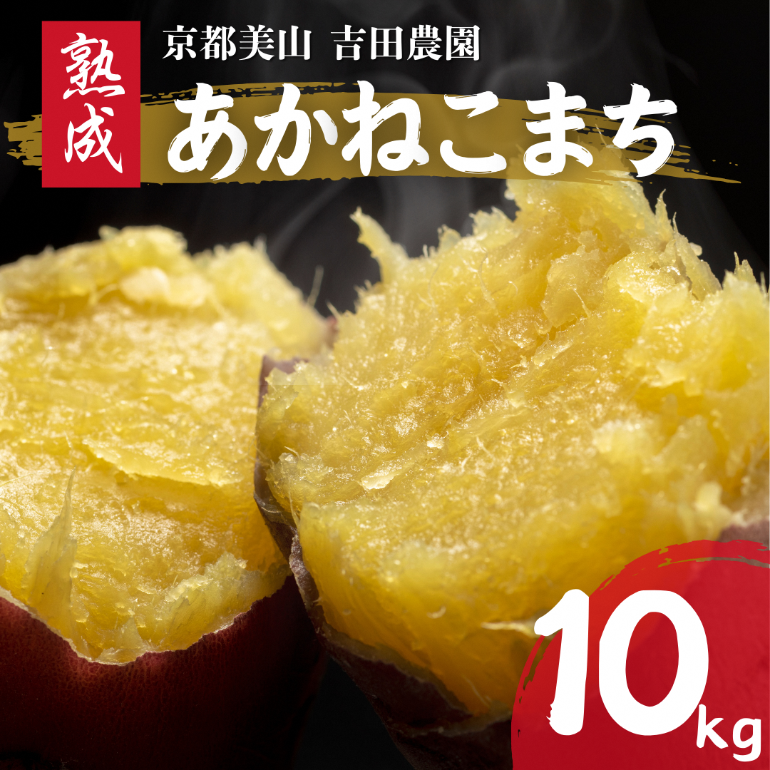 ys{OszYn ܂ 10kg n ˂܂ sOgY y\񏤕i25N12菇z