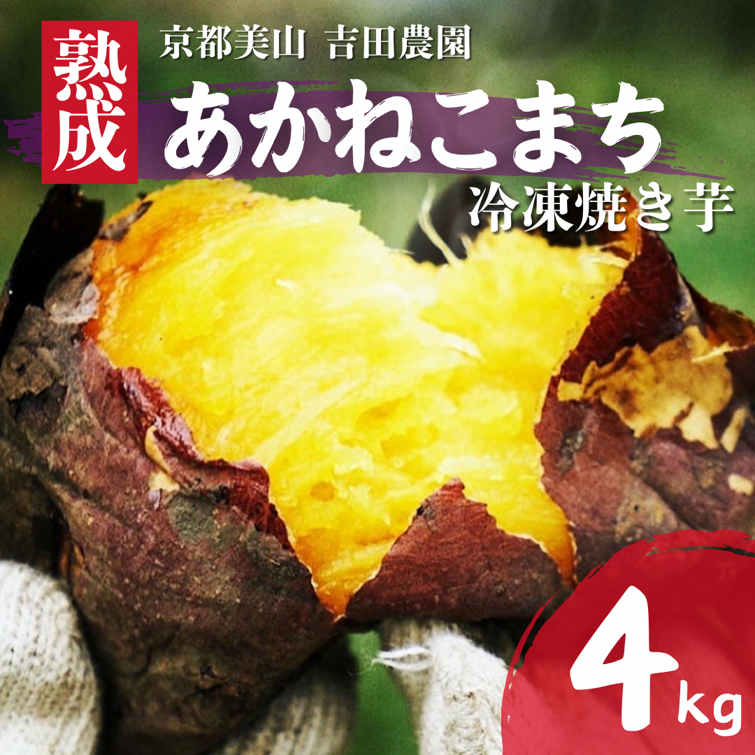 ys{OszYn ⓀĂ 4kg n ˂܂ sOgY y\񏤕i25N12菇z ₫ Ă ܂ 