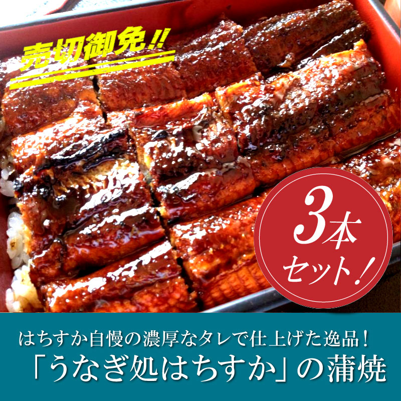 三河一色産 鰻の蒲焼き 3尾 計540g以上 うなぎ処はちすか　H026-031
