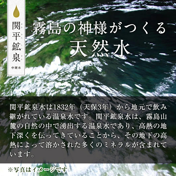 鹿児島県霧島市のふるさと納税 K-493 ＜定期便・全6回＞関平鉱泉水10L×2箱ずつお届け(計12箱)【関平鉱泉所】 霧島市 シリカ シリカ水 水 シリカミネラルウォーター