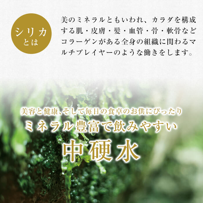 鹿児島県霧島市のふるさと納税 K-493 ＜定期便・全6回＞関平鉱泉水10L×2箱ずつお届け(計12箱)【関平鉱泉所】 霧島市 シリカ シリカ水 水 シリカミネラルウォーター
