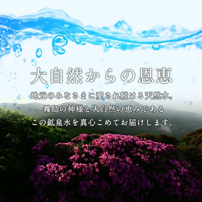 鹿児島県霧島市のふるさと納税 K-493 ＜定期便・全6回＞関平鉱泉水10L×2箱ずつお届け(計12箱)【関平鉱泉所】 霧島市 シリカ シリカ水 水 シリカミネラルウォーター