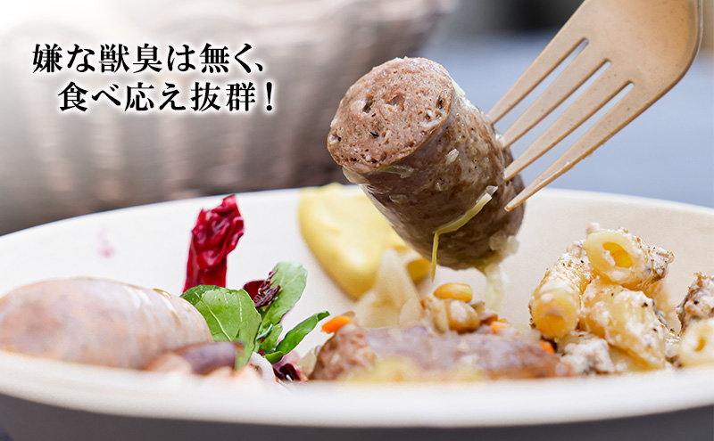 小諸産　鹿肉ソーセージ5種詰め合わせ（プレーン・チョリソー・ブラックペッパー・クルミ・チーズ）