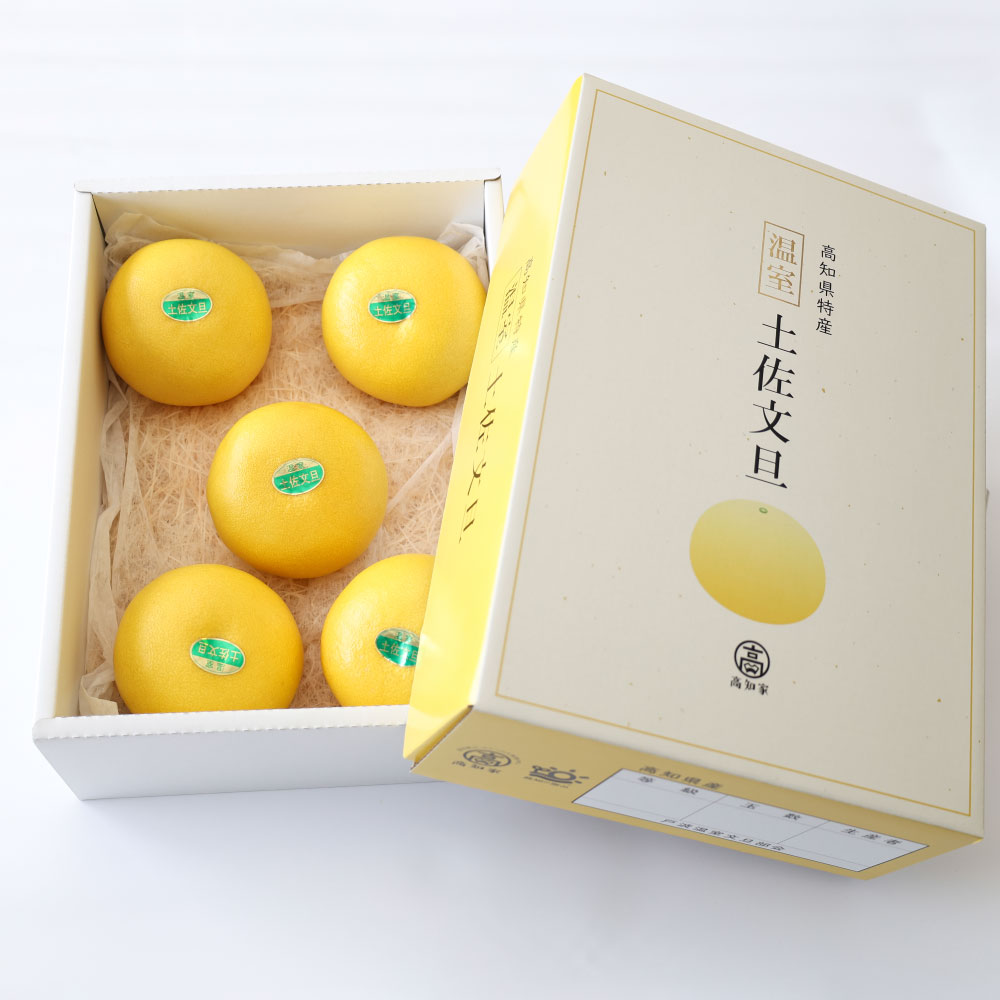 ＜土佐文旦の藤岡＞先行予約　厳選 温室土佐文旦 3kg (5～6玉）文旦 ぶんたん ブンタン 土佐文旦 ハウス栽培 甘い 柑橘 フルーツ 果物 ご当地 お取り寄せ