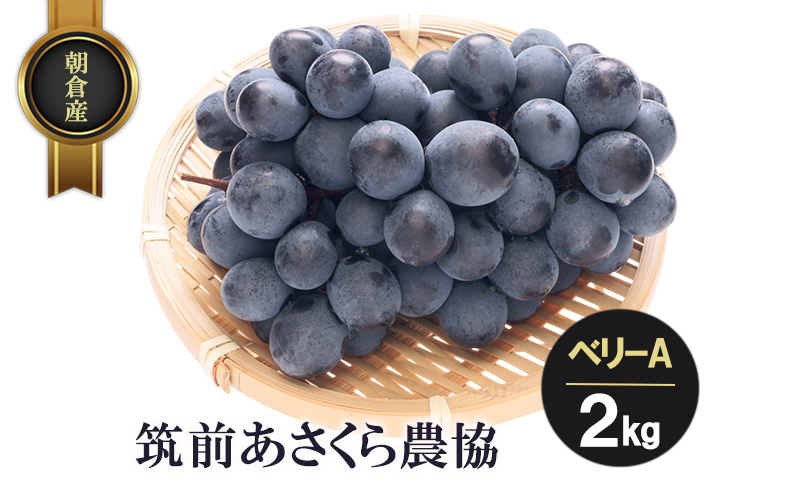 yqszqY x[A 2kg t[c ʕ  }O_ \F2026N7{`8{ zsFkCAA