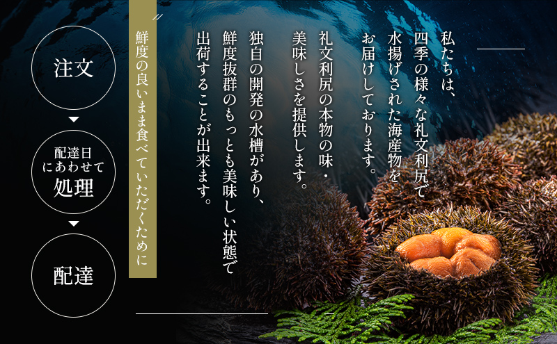 北海道 礼文島産  塩水ウニ （ エゾバフンウニ ）100g×3  生うに うに 雲丹  魚貝類 300g 