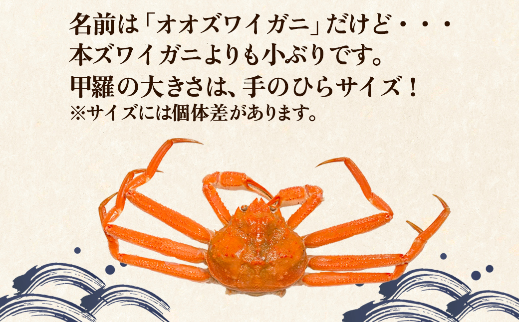 【訳あり】北海道産 ボイルオオズワイガニ 3kg 約10～18尾 かに 蟹 ずわい蟹 