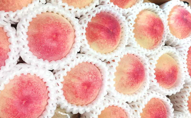 桃 お酒 セット 2026年 先行受付 岡山の白桃 3玉 計670g以上 桃のお酒ラ・ペーシュ清水白桃 500ml 1本セット 果物 リキュール