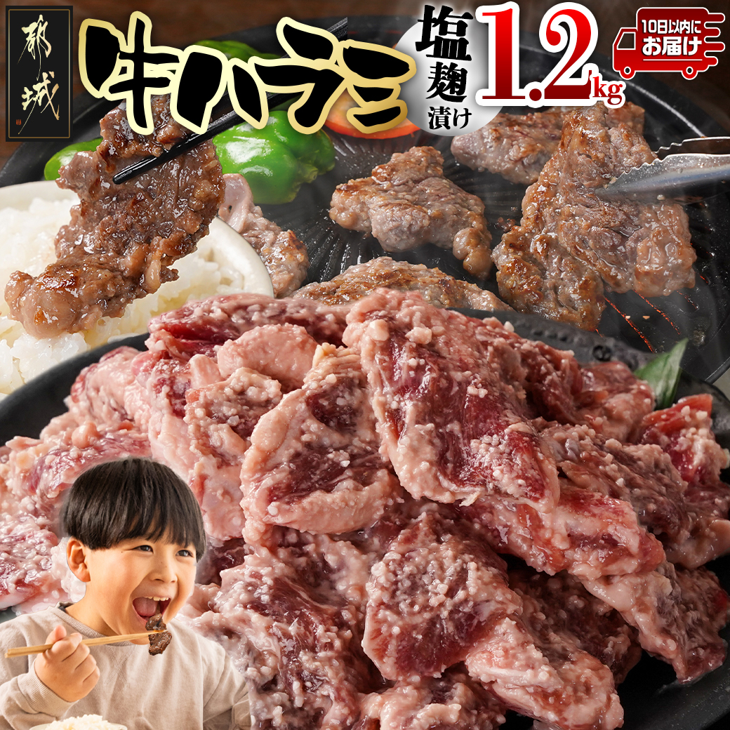 牛ハラミ 塩麹タレ漬け1.2kg≪みやこんじょ特急便≫_12-3310-Q
