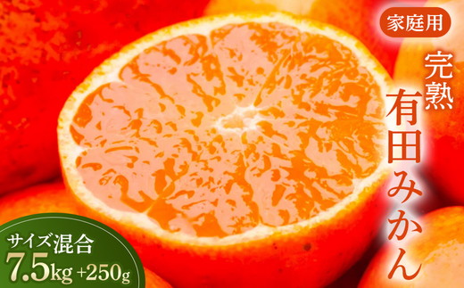家庭用 完熟 有田みかん7.5kg+250g（傷み補償分）サイズ混合 ※北海道・沖縄・離島への配送不可 ※2025年11月上旬～2026年1月下旬頃に順次発送予定